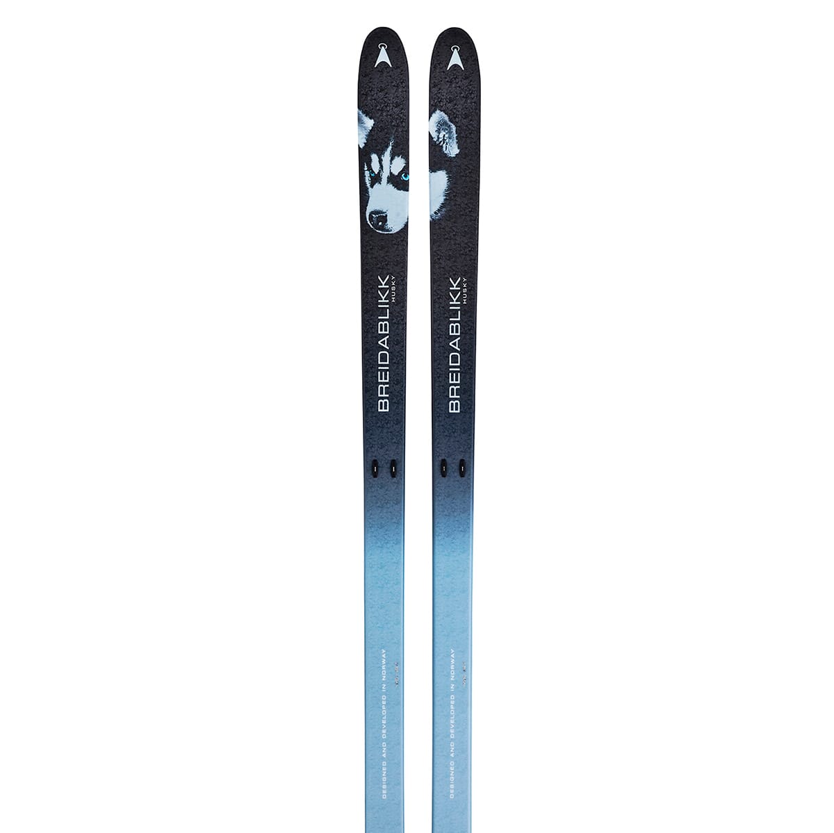 Åsnes Breidablikk Husky Fjellski Smørefri 24/25 Blue 170